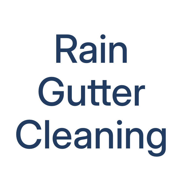 Rain Gutter Cleaning